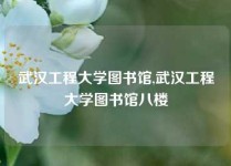 武汉工程大学图书馆,武汉工程大学图书馆八楼