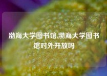 渤海大学图书馆,渤海大学图书馆对外开放吗