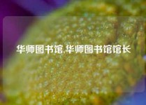 华师图书馆,华师图书馆馆长