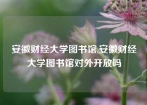 安徽财经大学图书馆,安徽财经大学图书馆对外开放吗