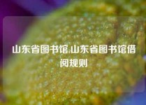 山东省图书馆,山东省图书馆借阅规则